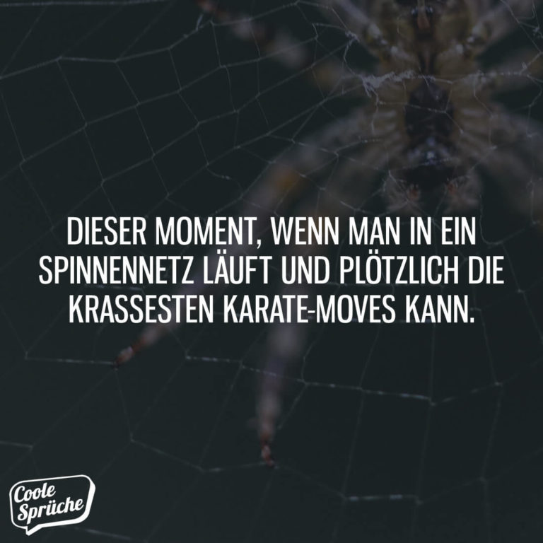 Dieser Moment, wenn man in ein Spinnennetz läuft